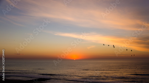 Birds in the sky © Conejo Verde