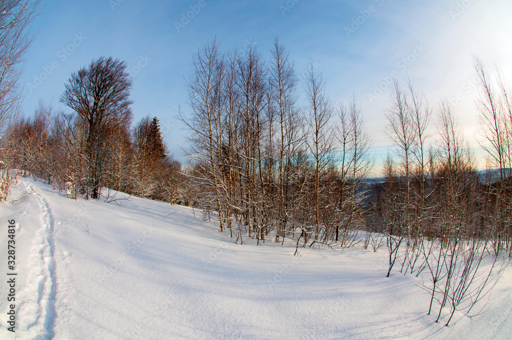 clearing in the winter mountains on a sunny day for outdoor activities and walks clearing in the winter mountains on a sunny day for outdoor activities and walks