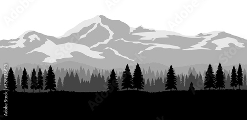 Wide landscape with mountains and forest. Flat design nature background. photo