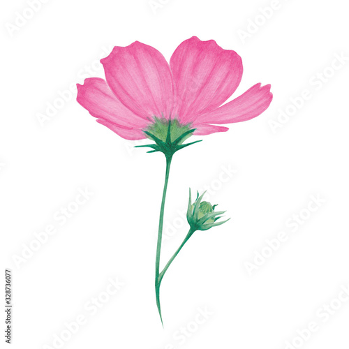 Watercolor pink flower with bud. Abstract flower for spa, relax, holiday. Arrangement with lily perfectly for printing design on invitations, cards, wall art and other. Hand painted