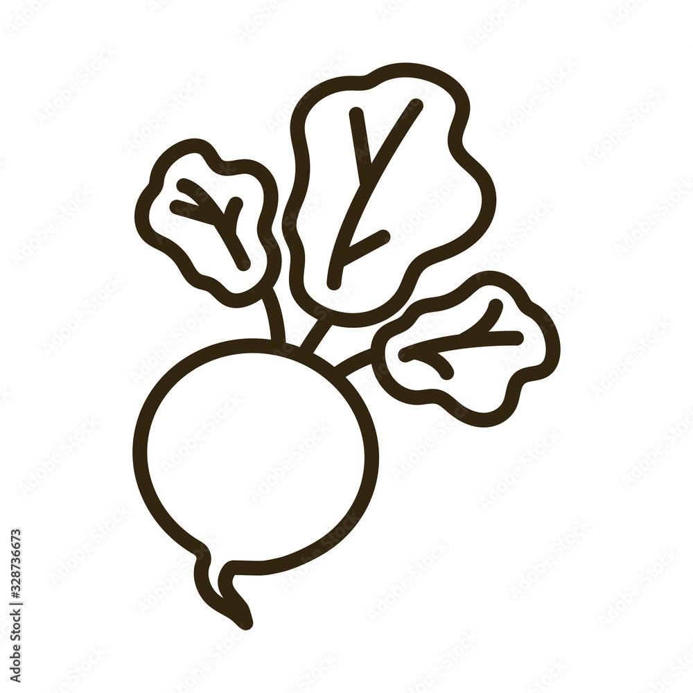 beet on white background, line style icon beet on white background, line style icon