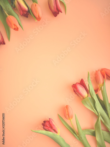 Fototapeta Naklejka Na Ścianę i Meble -  bouquet of tulips on pink background