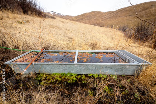 Foto Farm watering trough used for animal health
