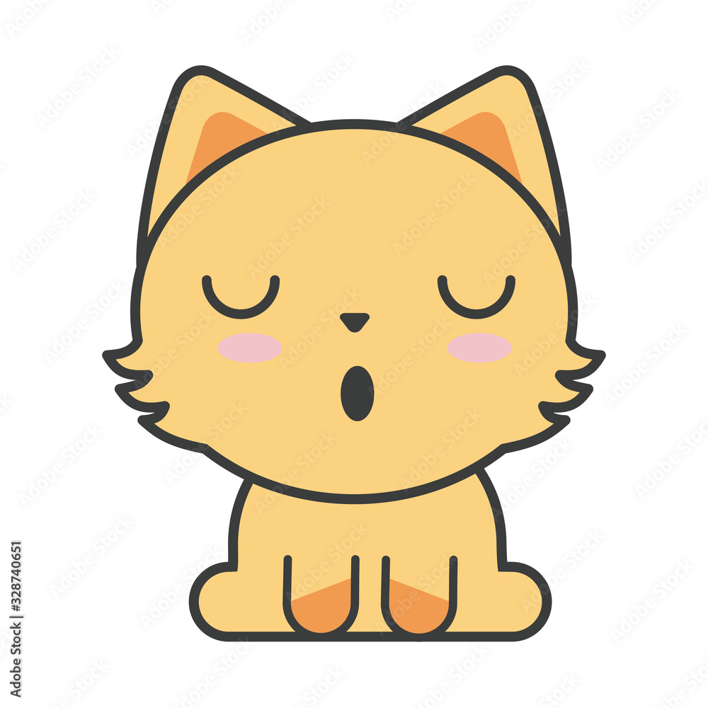 cute cat on white background, feline domestic cute cat on white background, feline domestic