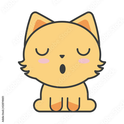 cute cat on white background, feline domestic