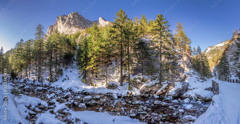 Stunning frozen stream and forest in Koscieliska valley in winter
