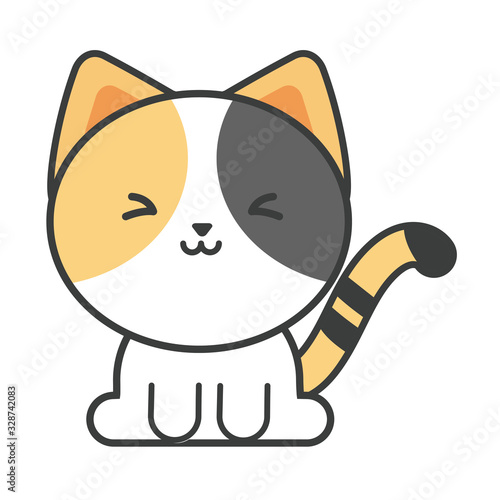 cute cat on white background, feline domestic