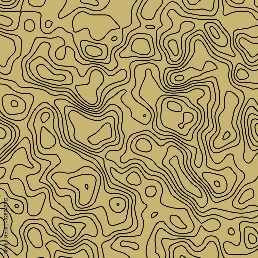An abstract topographical contour map background image.