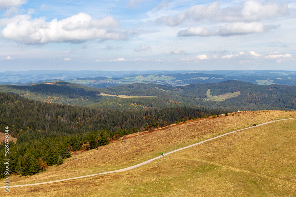 Scenic view from Feldberg tower at landscape of Black Forest in autumn