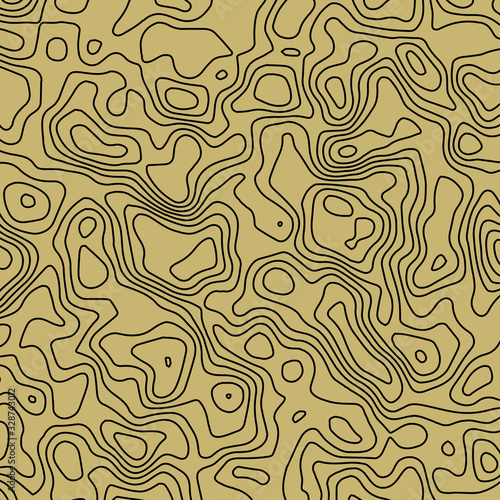 An abstract topographical contour map background image.