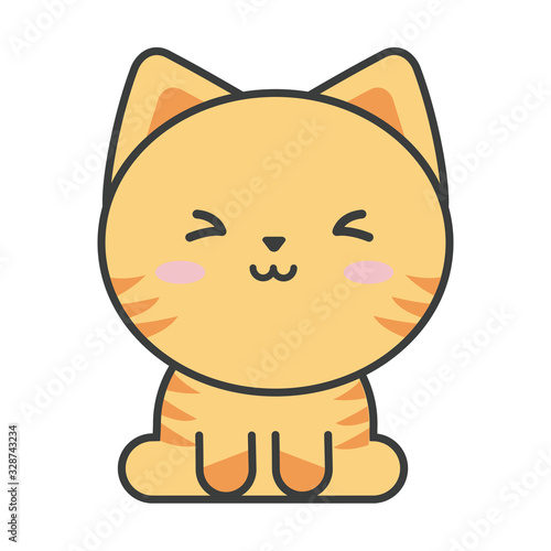 cute cat on white background, feline domestic