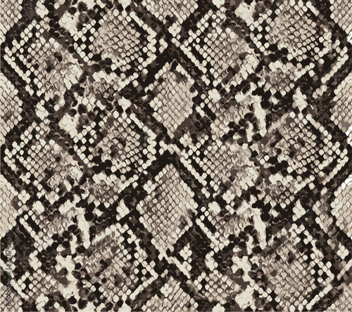 snake skin pattern design, animal print. element for your design. vector illustration background