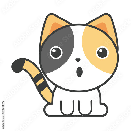 cute cat on white background, feline domestic