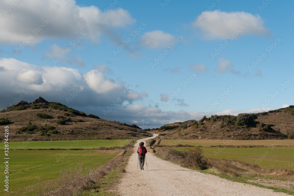 Peregrino en soledad en dirección a la localidad navarra de Sangüesa en el Camino de Santiago Aragonés.