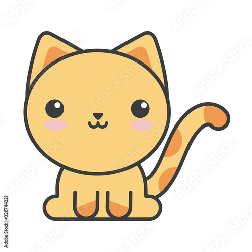 cute cat on white background, feline domestic