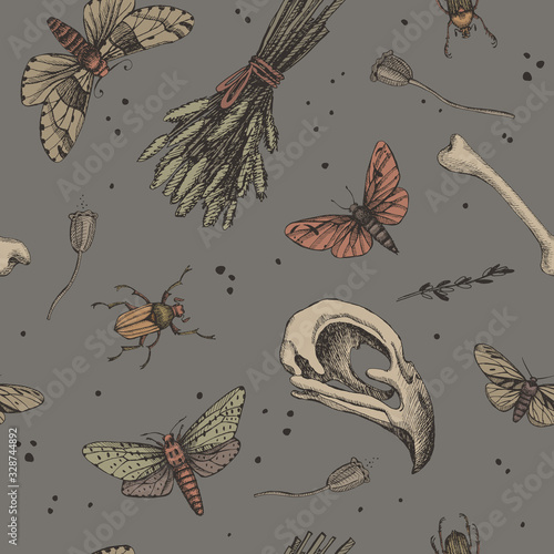 Seamless pattern with magic background for witches and wizards. Mystical objects for witchcraft vector illustration. Skull of a bird, insects, bone, dry herbs. Wicca and pagan traditions.