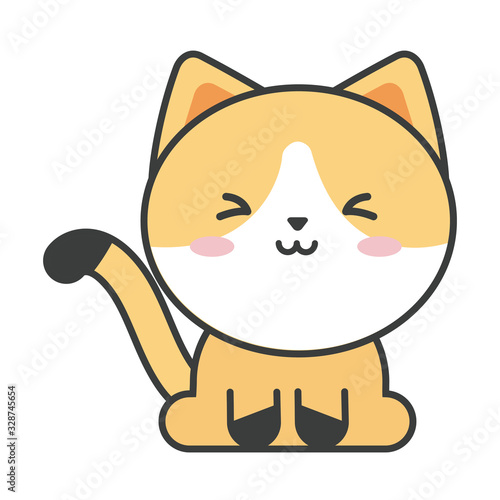 cute cat on white background, feline domestic