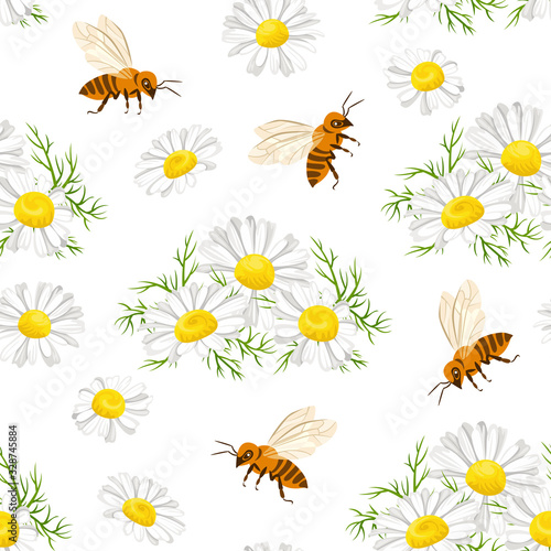 Bees and white camomile flowers seamless pattern. Vector illustration of a blossoming meadow and honey flying bees in cartoon flat style. Floral natural background.