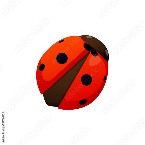 Bright colorful ladybug insect isolated on white.