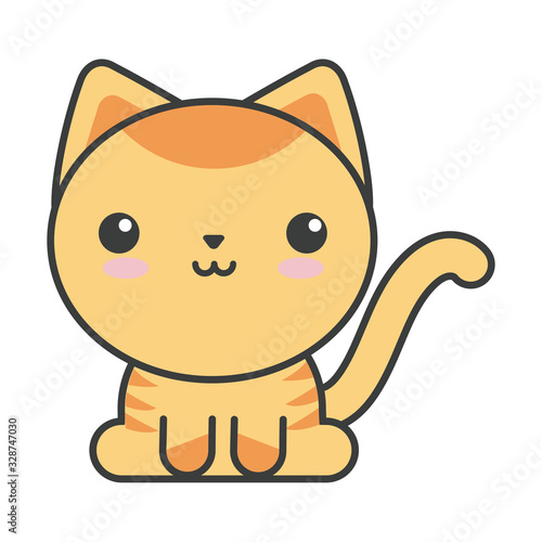 cute cat on white background, feline domestic