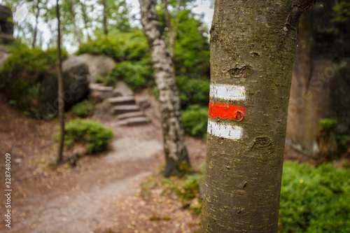 Wallpaper Mural Red tourist sign on a tree marking a trail in beautiful landscape of Czech Republic. Czechia has one of the best grid and systems for hiking trails Torontodigital.ca