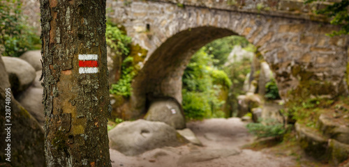 Tourist sign on a tree marking a trail in beautiful landscape of Czech Republic. Czechia has one of the best grid and systems for hiking trails