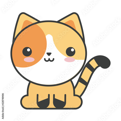 cute cat on white background, feline domestic
