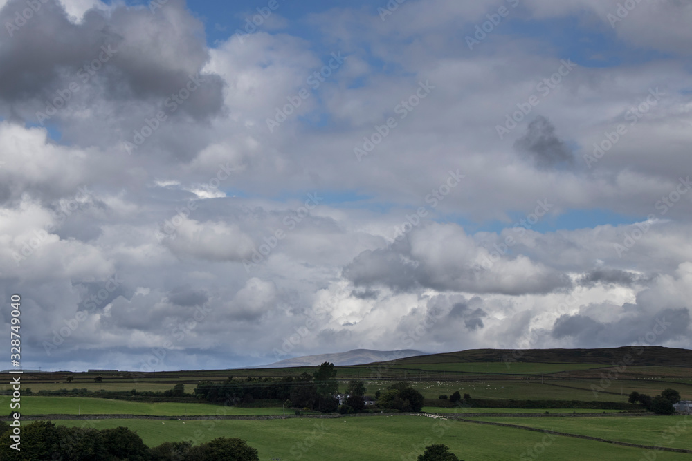 Scottish Field Landscape