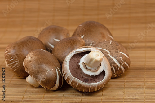 Champignons,Agaricus,braune Zuchtchampignons