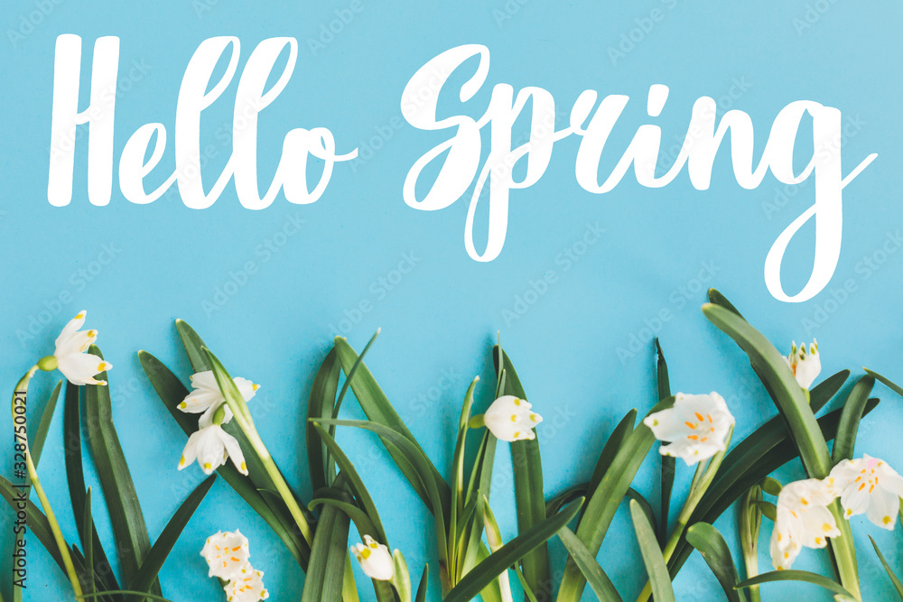 Hello Spring text with first spring flowers on blue background, flat lay. Stylish floral greeting card or poster template. Springtime. Floral  border of Spring snowflake - obrazy, fototapety, plakaty 