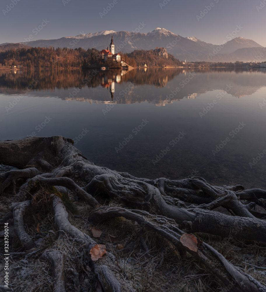 The Roots Of Lake Bled, Slovenia. Winter Landscape Of Famous Place With Beautiful Foreground, Small Island In The Middle Of The Lake, Assumption Of Mary Pilgrimage Church, Bled Castle And Mountains