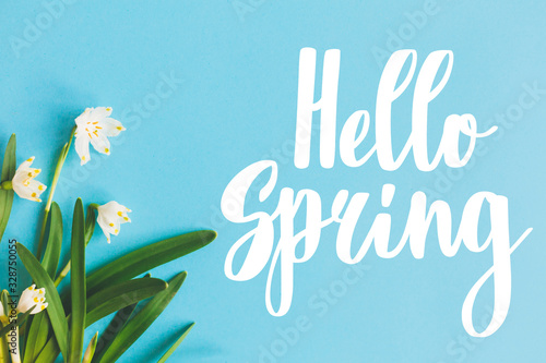 Hello Spring text with first spring flowers on blue background, flat lay. Stylish floral greeting card or poster template. Springtime. Floral border of Spring snowflake
