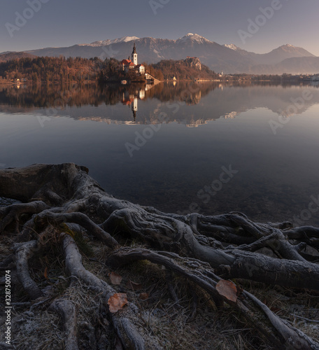 Obraz na płótnie The Roots Of Lake Bled, Slovenia. Winter Landscape Of Famous Place With Beautiful Foreground, Small Island In The Middle Of The Lake, Assumption Of Mary Pilgrimage Church, Bled Castle And Mountains w salonie