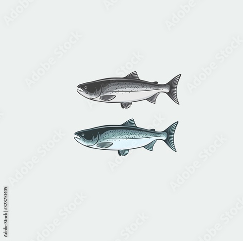 color salmon logo