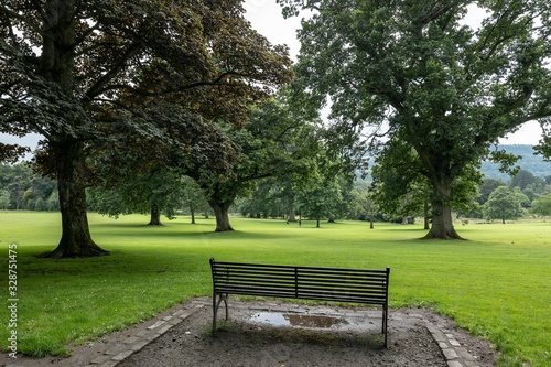 A bench add trees in a country park near Balloch Castle in Scotland where people can admire view and relax in nature
