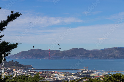 Golden Gate Bridge with Birds - San Francisco in the Sun
