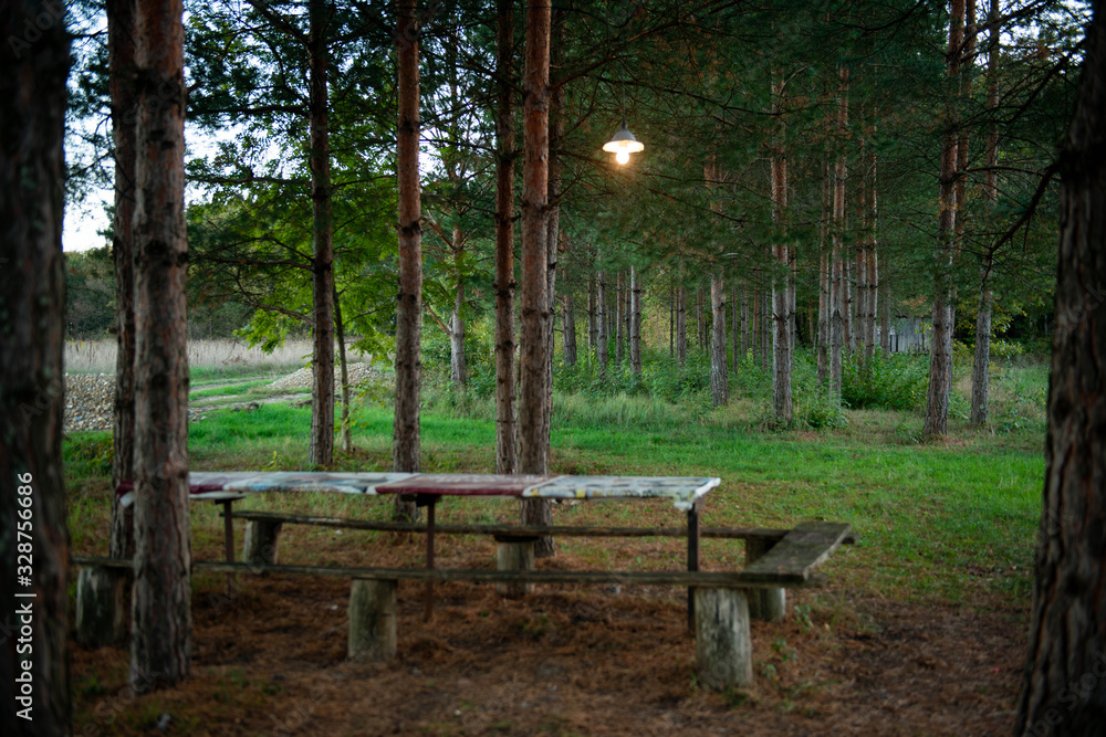 Лес с пустым столом и лавочкой с горящей лампочкой  окруженный соснами и деревьями на природе