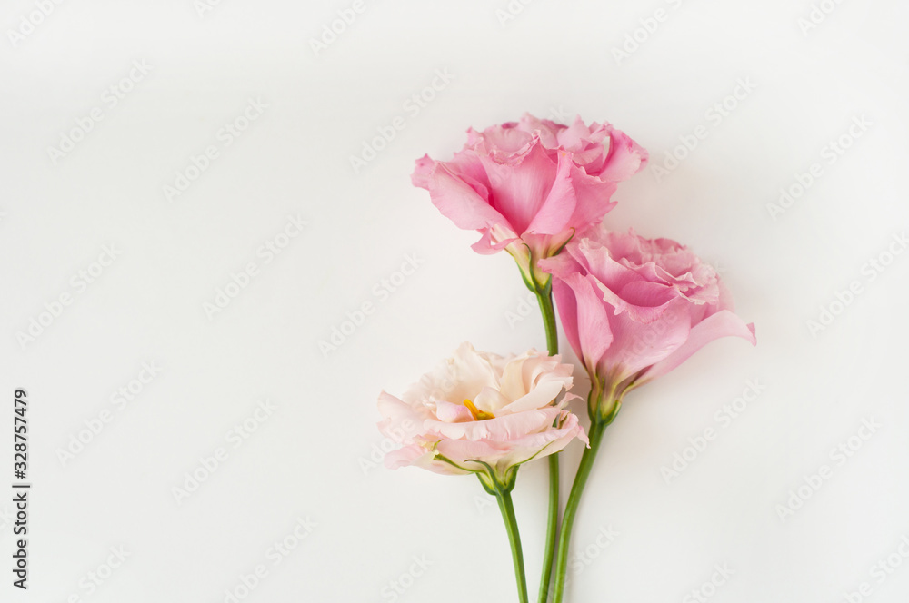 Beautiful pink and white eustoma flowers (lisianthus) in full bloom with green leaves. Bouquet of flowers on a white background. Beautiful pink and white eustoma flowers (lisianthus) in full bloom with green leaves. Bouquet of flowers on a white background.