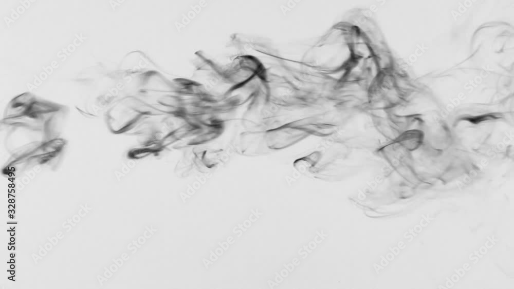 One line black smoke on a white background. Graceful twists on a white background. One line black smoke on a white background. Graceful twists on a white background.