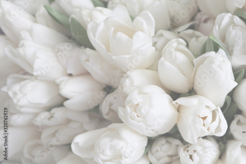 White tulips on the grey background, close-up. photo