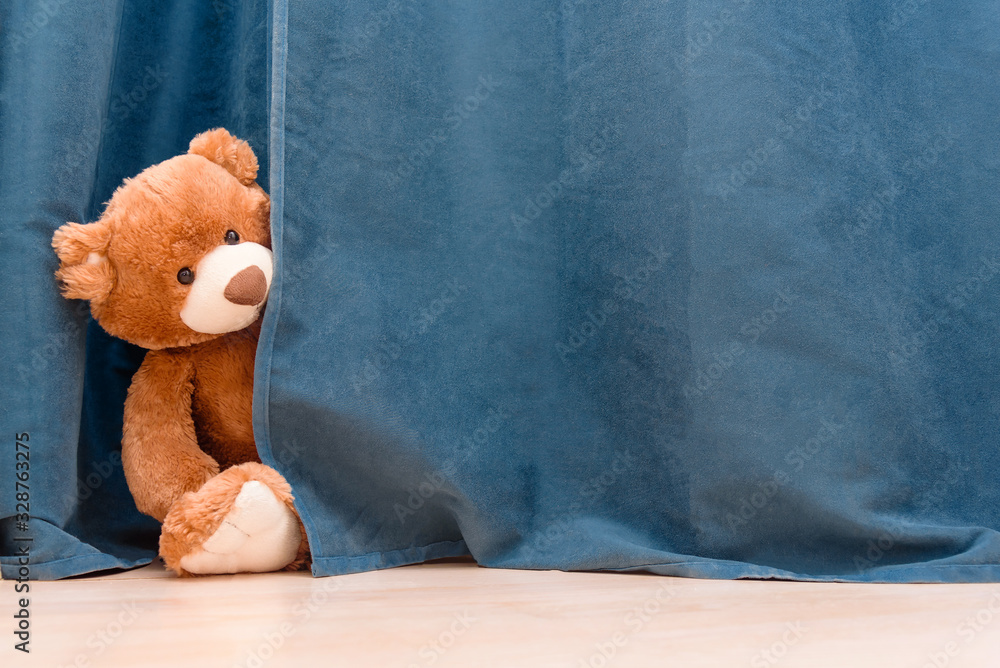 Kids toy brown funny Teddy bear peeks out from behind the blue curtain - obrazy, fototapety, plakaty 