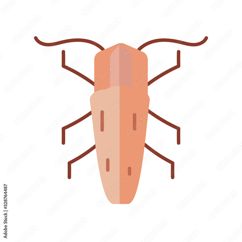 earwing insect icon, flat style earwing insect icon, flat style