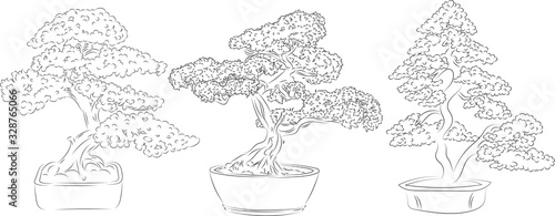 Vector drawing imitating a pencil sketch. Image of bonsai trees.