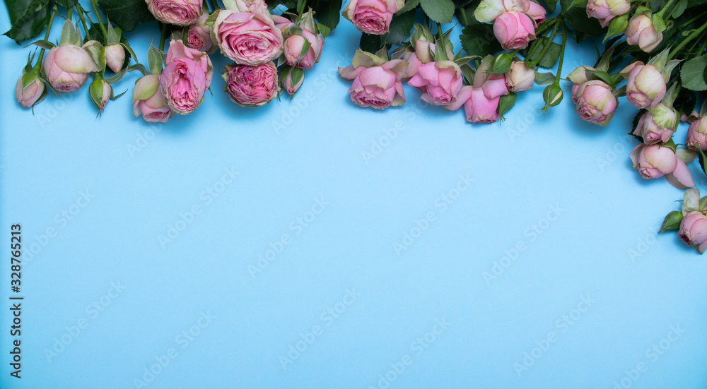 spring roses flatlay on blue background. Concept of flowers for Valentines Day , mothers Day or March 8 spring roses flatlay on blue background. Concept of flowers for Valentines Day , mothers Day or March 8