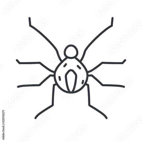 spider insect icon, line detail style