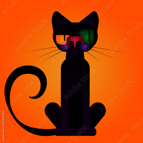 the cat
