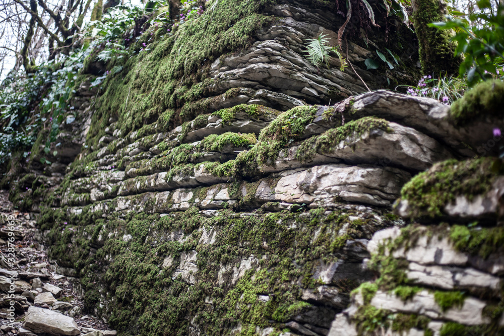 Stone covered with moss. Rock in the relict forest. Background of natural stone. Rocky breed. Natural object. Stone covered with moss. Rock in the relict forest. Background of natural stone. Rocky breed. Natural object.