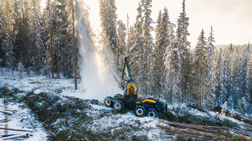 Sustaineable timber harvesting in Norway during wintertime photo