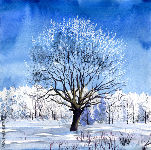Obraz na płótnie Watercolor winter landscape a tall tree in a center - sunny day, bright blue sky and snow drifts.