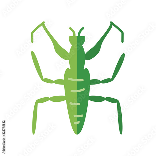 mantis insect, flat style icon